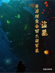盗墓金国大将军